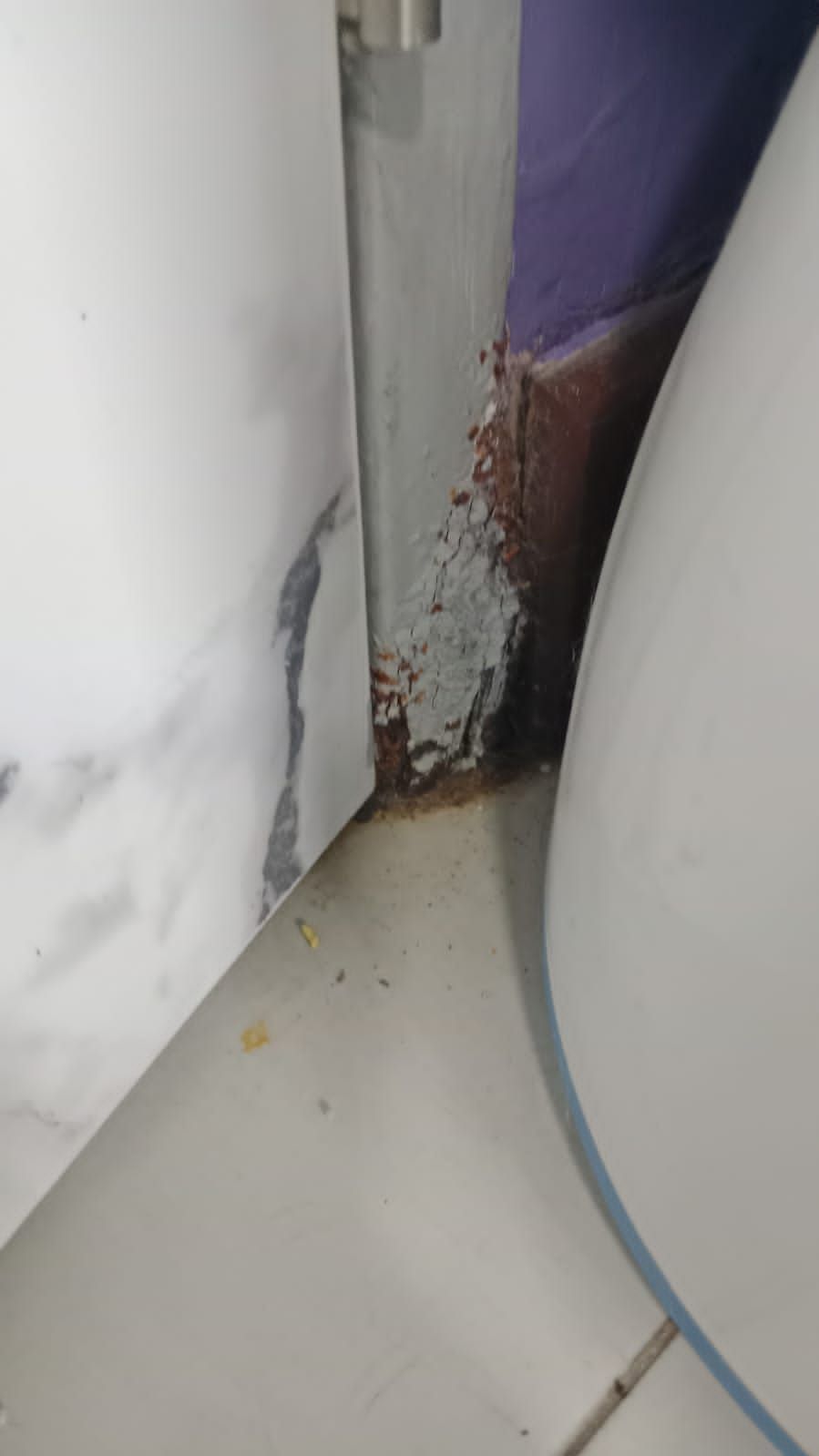 Re-Rasting and Painting Door