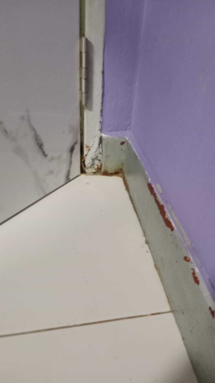 Re-Rasting and Painting Door